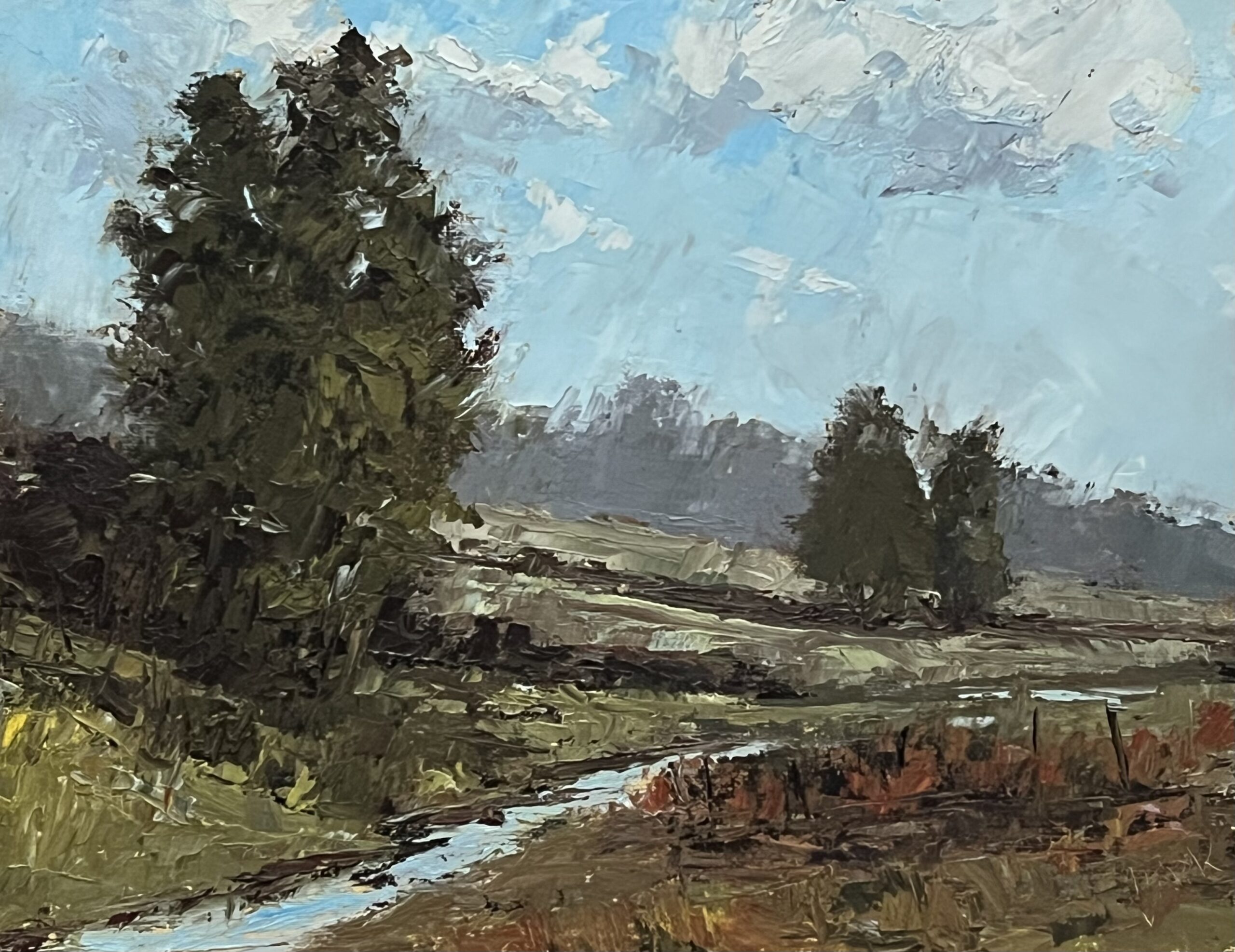 Meandering Stream, 11 x 14, Oil/Board. $750 – by Howard Park